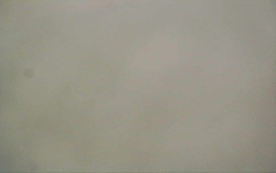 Ski Areál Opálená