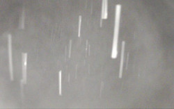 Ski Areál Opálená