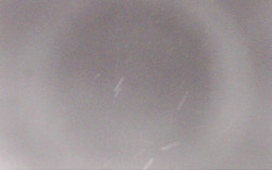 Ski Areál Opálená