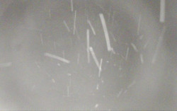 Ski Areál Opálená