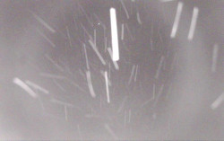 Ski Areál Opálená