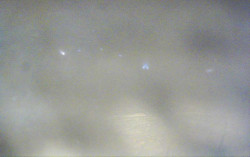 Ski Areál Opálená