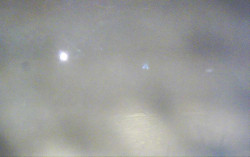 Ski Areál Opálená