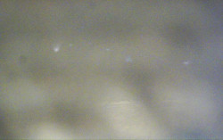 Ski Areál Opálená