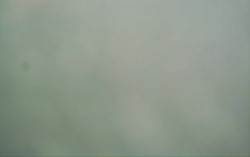 Ski Areál Opálená