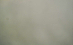 Ski Areál Opálená