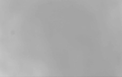 Ski Areál Opálená