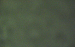 Ski Areál Opálená