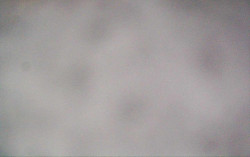 Ski Areál Opálená