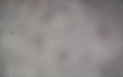 Ski Areál Opálená