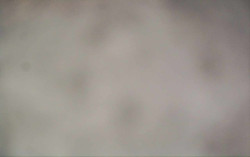 Ski Areál Opálená