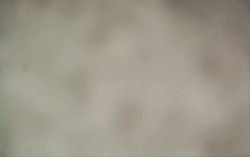 Ski Areál Opálená