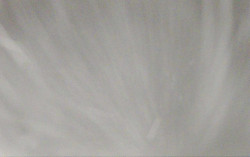 Ski Areál Opálená