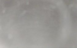 Ski Areál Opálená