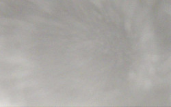 Ski Areál Opálená