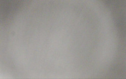 Ski Areál Opálená