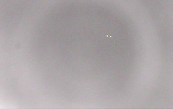 Ski Areál Opálená