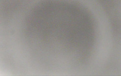 Ski Areál Opálená