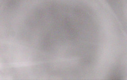 Ski Areál Opálená