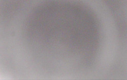 Ski Areál Opálená