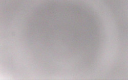 Ski Areál Opálená