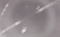 Ski Areál Opálená