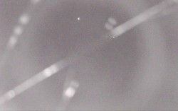 Ski Areál Opálená