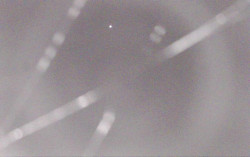 Ski Areál Opálená