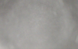 Ski Areál Opálená