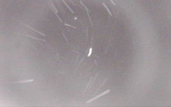 Ski Areál Opálená