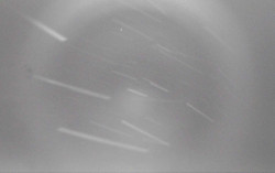 Ski Areál Opálená