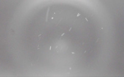 Ski Areál Opálená