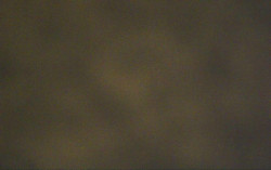 Ski Areál Opálená