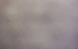 Ski Areál Opálená