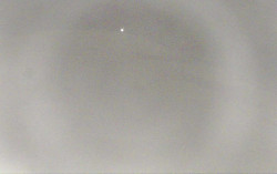 Ski Areál Opálená