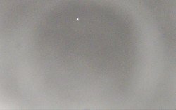 Ski Areál Opálená