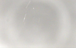 Ski Areál Opálená