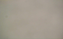 Ski Areál Opálená