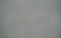 Ski Areál Opálená