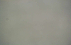 Ski Areál Opálená