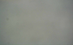 Ski Areál Opálená