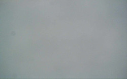 Ski Areál Opálená