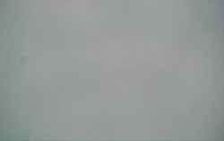 Ski Areál Opálená