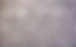 Ski Areál Opálená