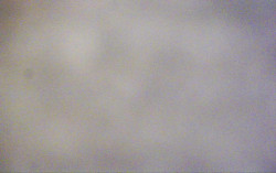 Ski Areál Opálená