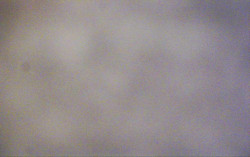 Ski Areál Opálená