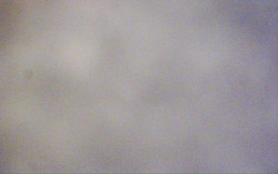 Ski Areál Opálená