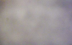 Ski Areál Opálená