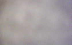 Ski Areál Opálená