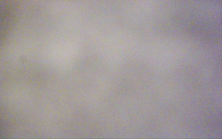 Ski Areál Opálená